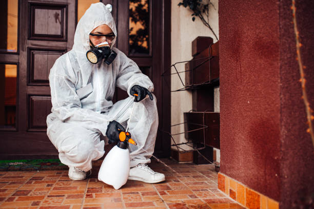 Attic and Crawl Space Rodent Treatment in Mendon